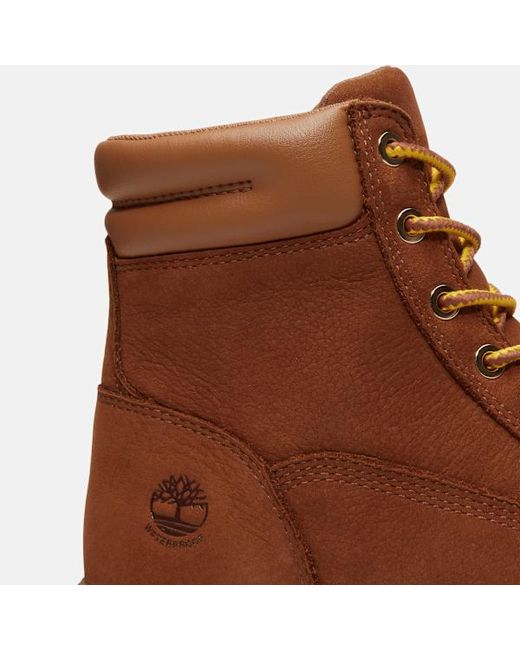 Timberland Brown Auburn Falls 6-Inch Waterproof Boot For