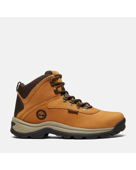 Timberland Brown White Ledge Waterproof Mid Hiker Boot for men