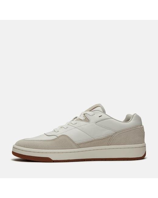 Timberland Gray Jackson Court Trainer For for men