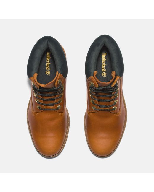 Timberland Brown Premium 6 Inch Boot for men