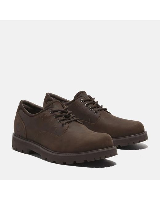 Timberland Britton Road Waterproof Shoe For Men In Dark Brown, Man, Brown, Size: 6.5 for men