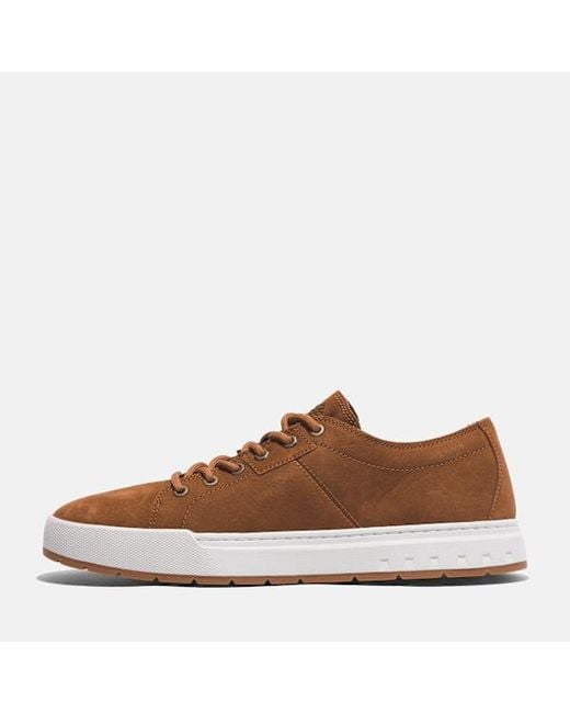 Timberland Brown Maple Grove Trainer For for men