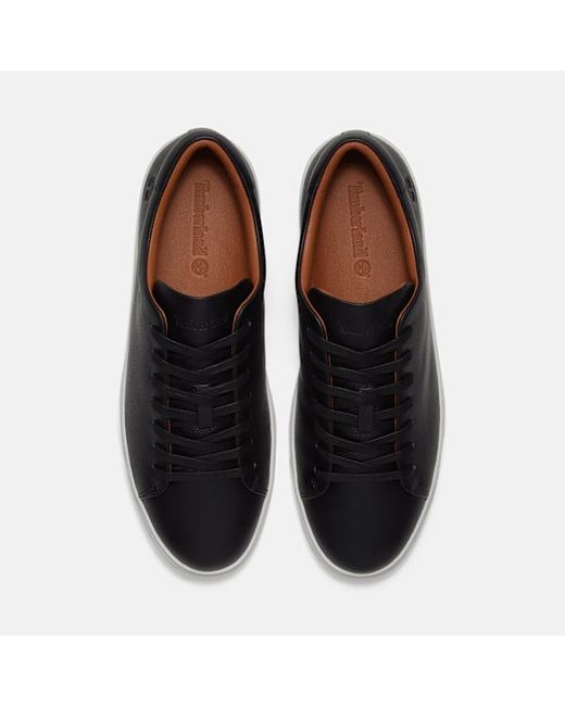 Timberland Black Dover Essential Trainer For for men