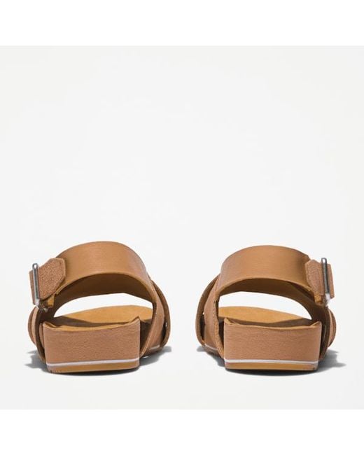 Timberland Brown Malibu Waves Basic Backstrap Sandal For