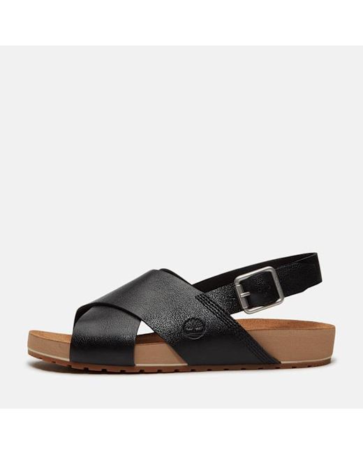 Timberland Black Malibu Waves Basic Backstrap Sandal For