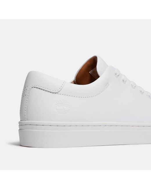 Timberland Dover Park Trainer For Men In White, Man, White, Size: 3.5 for men