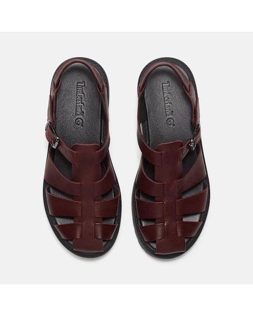 Timberland Brown Stone Street Fisherman Platform Sandal For