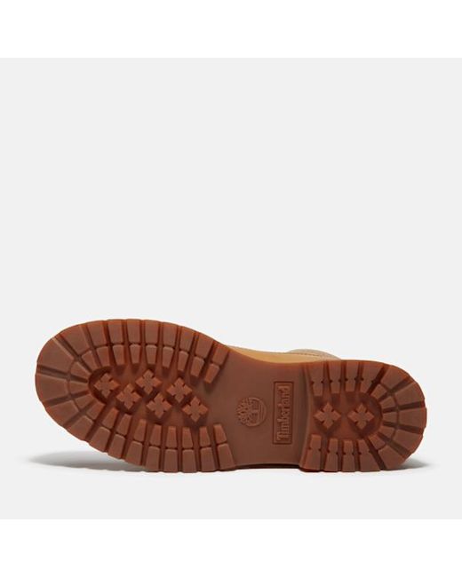 Timberland Brown 25 6-Inch Waterproof Boot For
