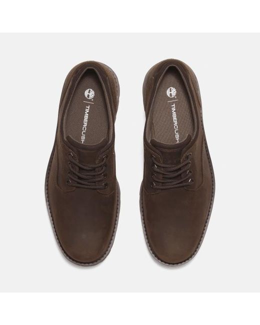 Timberland Britton Road Waterproof Shoe For Men In Dark Brown, Man, Brown, Size: 6.5 for men