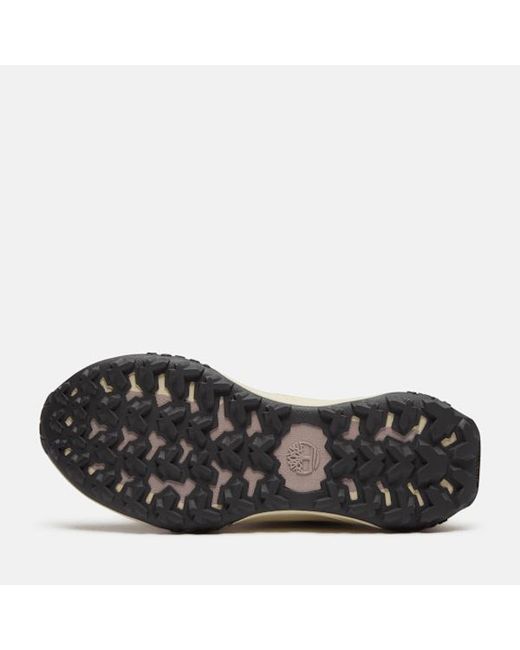 Timberland Brown Motion Access Trainer For