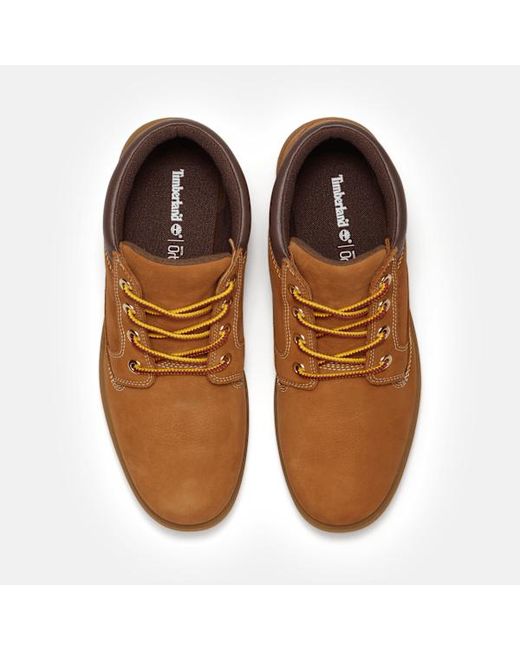 Timberland Brown Auburn Falls Waterproof Chukka Boot For for men