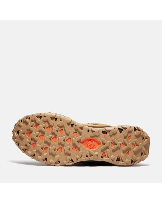 Timberland Brown Motion Access Waterproof Trainer For for men