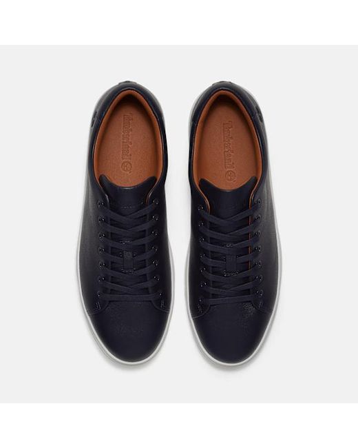 Timberland Blue Dover Park Trainer For for men