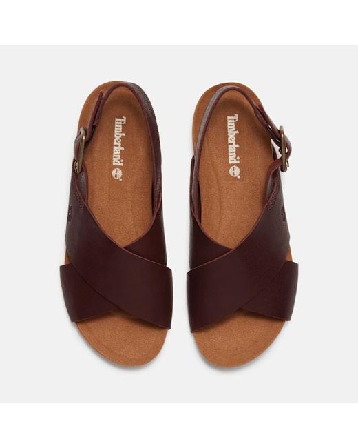 Timberland Brown Malibu Waves Basic Backstrap Sandal For