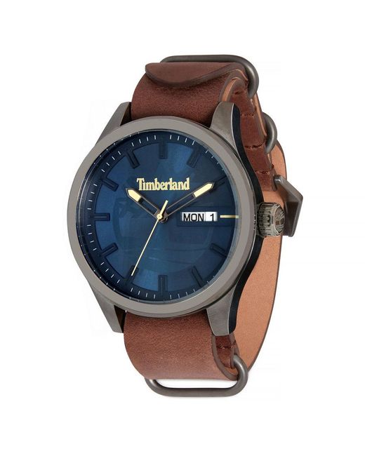 Timberland Blue Amesbury Watch for men
