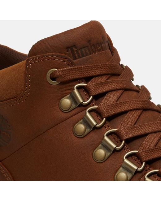 Timberland Brown Lisbon Hill Mid Trainer For for men