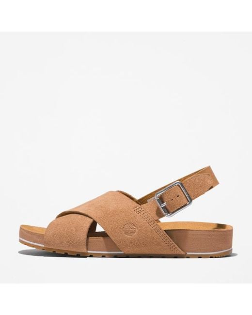 Timberland Brown Malibu Waves Basic Backstrap Sandal For