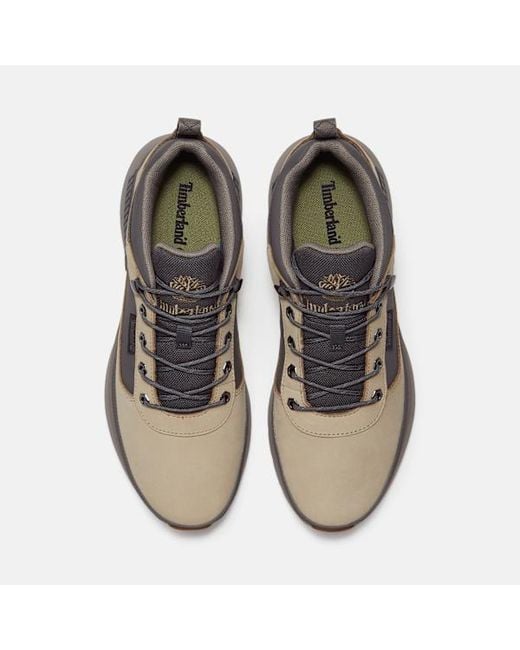 Timberland Brown Field Trekker Trainer For for men