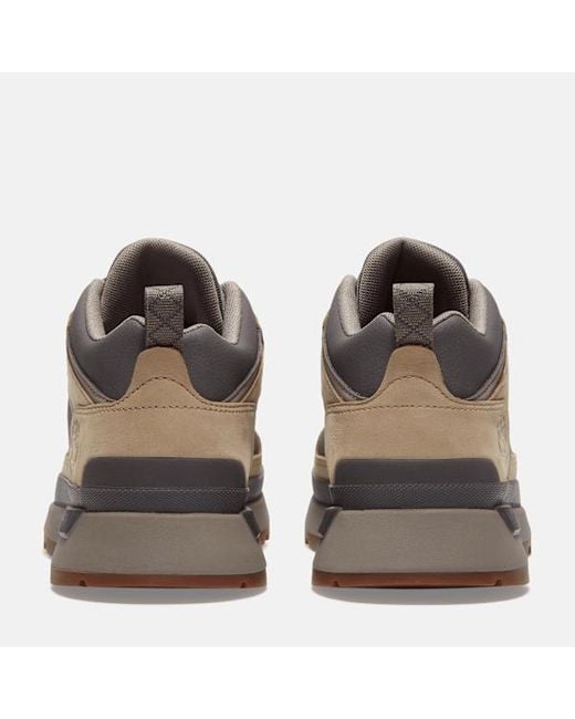Timberland Brown Field Trekker Trainer For for men