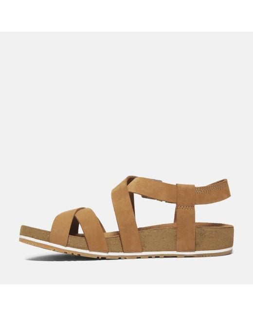 Timberland Brown Malibu Waves Backstrap Sandal For