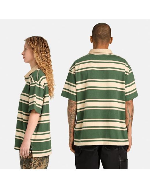 Timberland Green All Gender Striped Short-Sleeve Rugby Polo