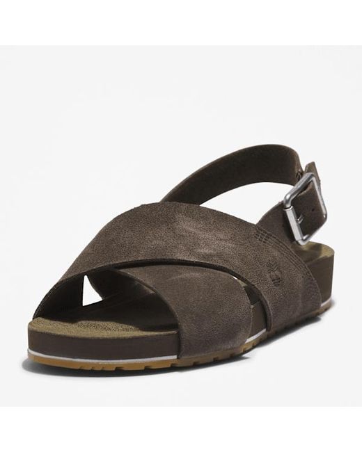 Timberland Brown Malibu Waves Basic Backstrap Sandal For