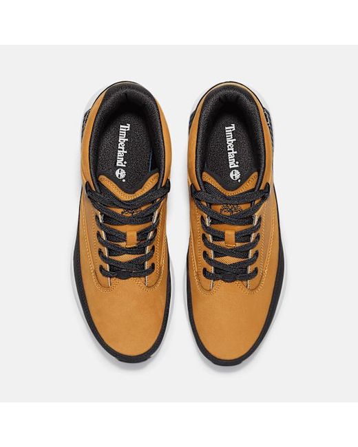 Timberland Brown Euro Grid Trainer For for men