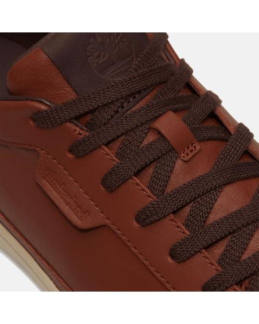 Timberland Brown Portofino Pier Trainer For for men