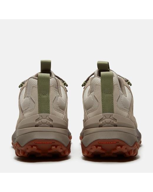 Timberland Brown Motion Access Waterproof Trainer For for men