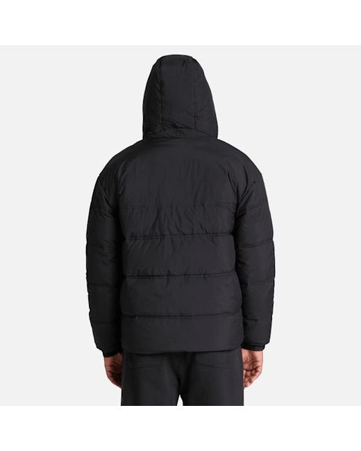 Timberland Blue Water Repellent Puffer Jacket For for men