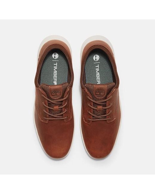 Timberland Brown Parker Street Trainer For for men