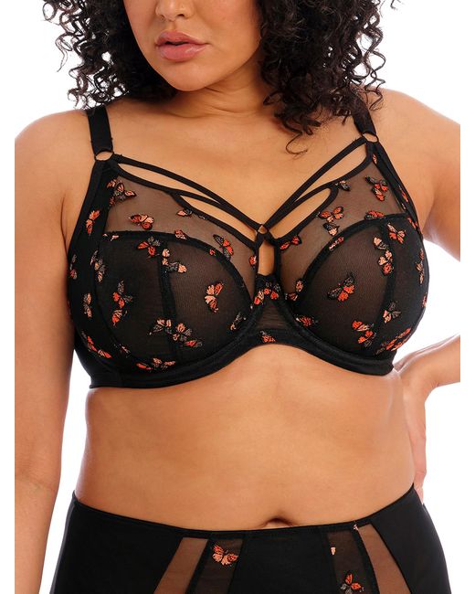Tj Maxx Black Full Figure Kim Underwire Plunge Bra For Nylon/Cotton/Polyester