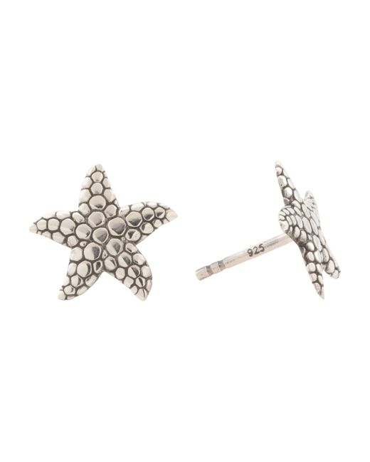 Tj Maxx Metallic Sterling Starfish Stud Earrings