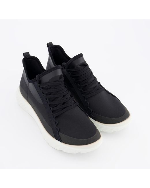 ecco ladies trainers uk