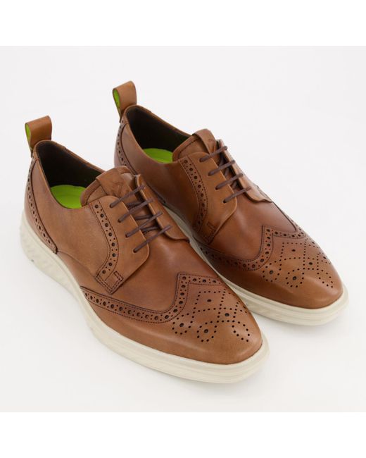 Ecco Brown Leather Dotted Brogues for men