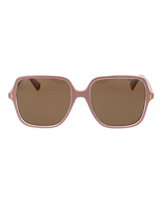 Polaroid Brown Multicolor Plastic Sunglasses