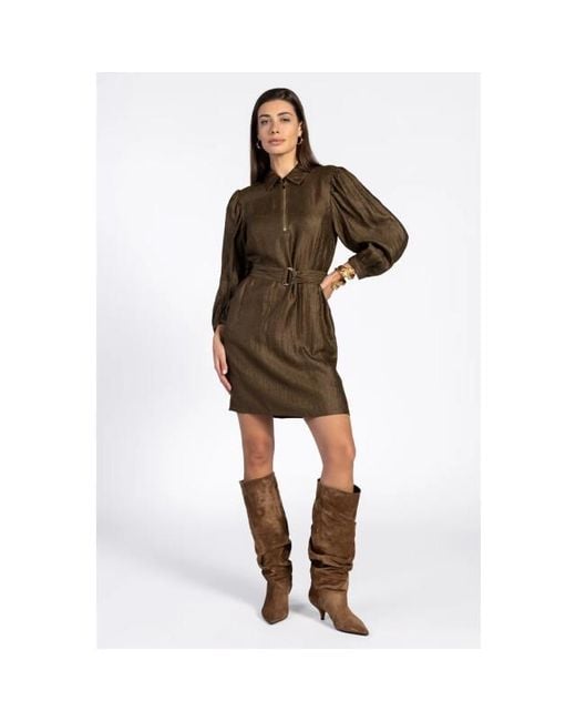 Aaiko Semira Dress in het Brown