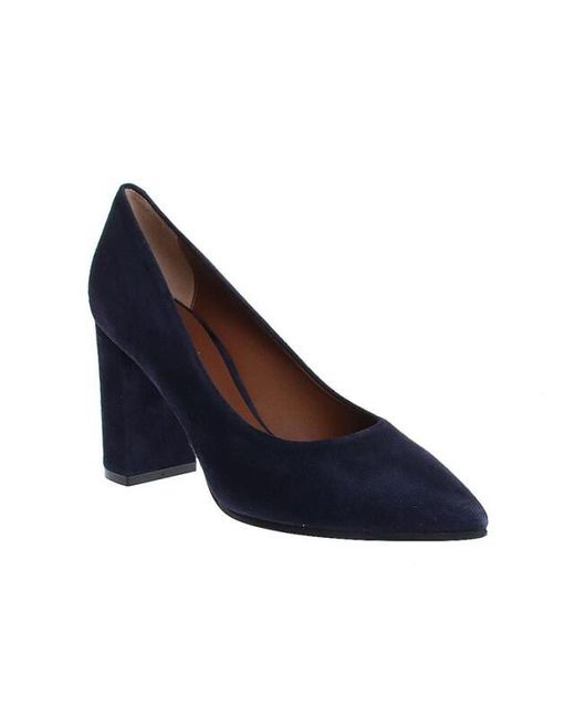 Evaluna El1791 in het Blue