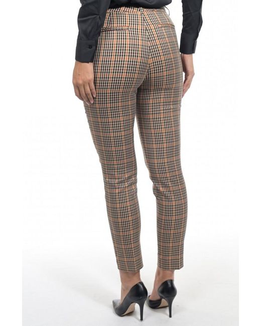 Maison Scotch Broeken in het Brown