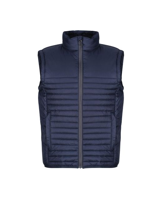 Regatta Blue Honestly Made Insulated Recycled Gilet for men