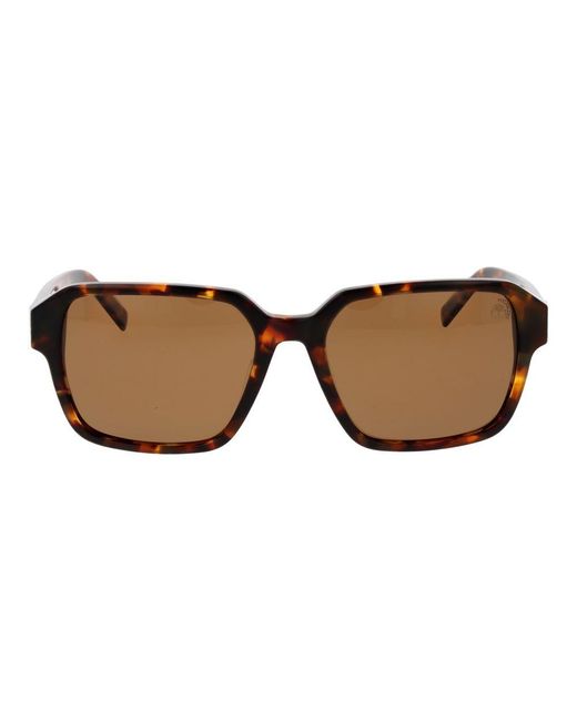 Timberland Brown Acetate Sunglasses for men