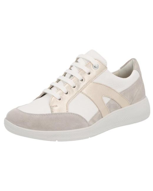 SOLIDUS Ypso 65029 in het White