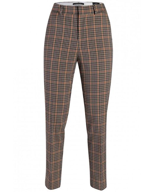 Maison Scotch Broeken in het Brown