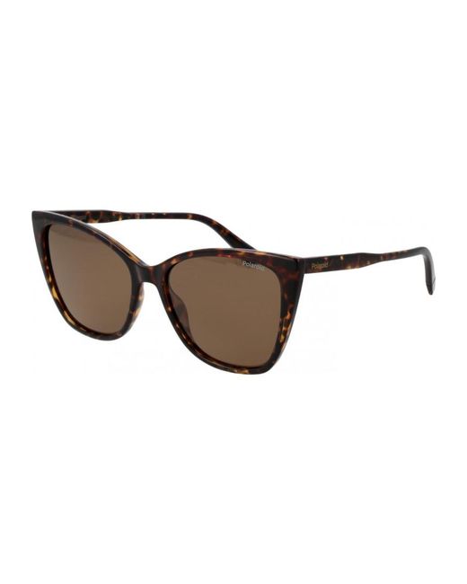 Polaroid Brown Pld 4181 S 56 086Sp Cool Sunglasses