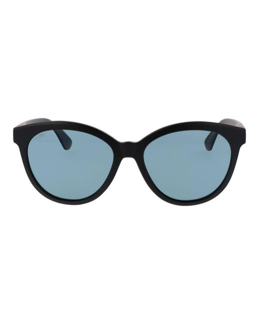 Serengeti Blue Black Plastic Sunglasses