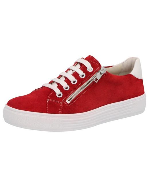 SOLIDUS Kendal in het Red
