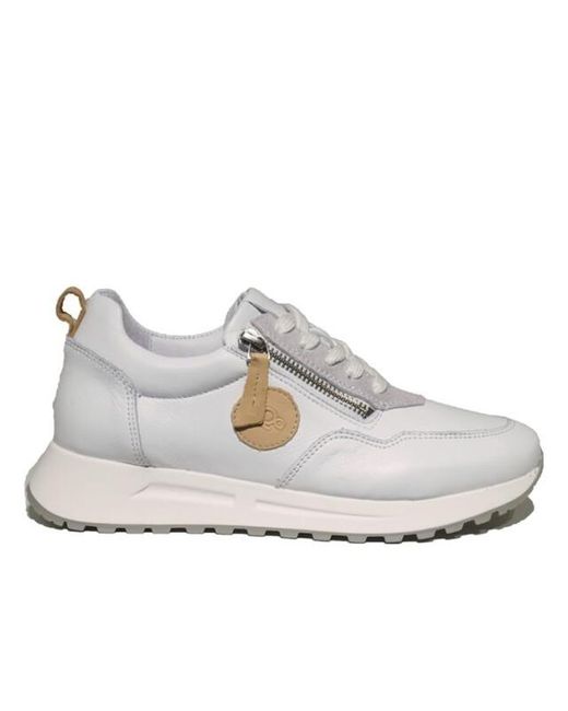 AQA A8536 in het White
