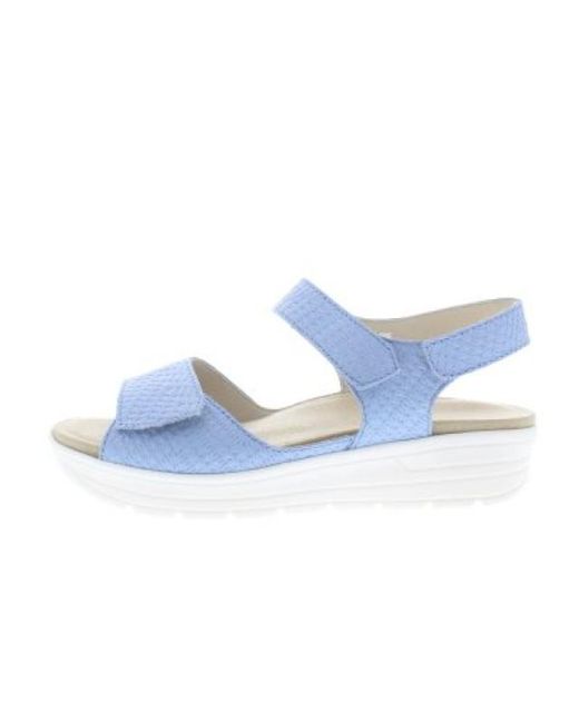 SOLIDUS Greta G in het Blue