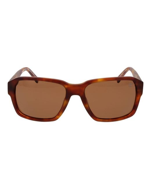 Timberland Brown Acetate Sunglasses for men