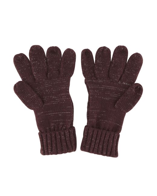 Regatta Winterhandschoenen in het Purple